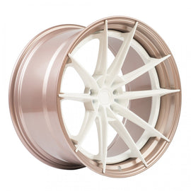 Z Performance ZP.MODULAR 1 - White / Sparkling Champagne Lip 20*11